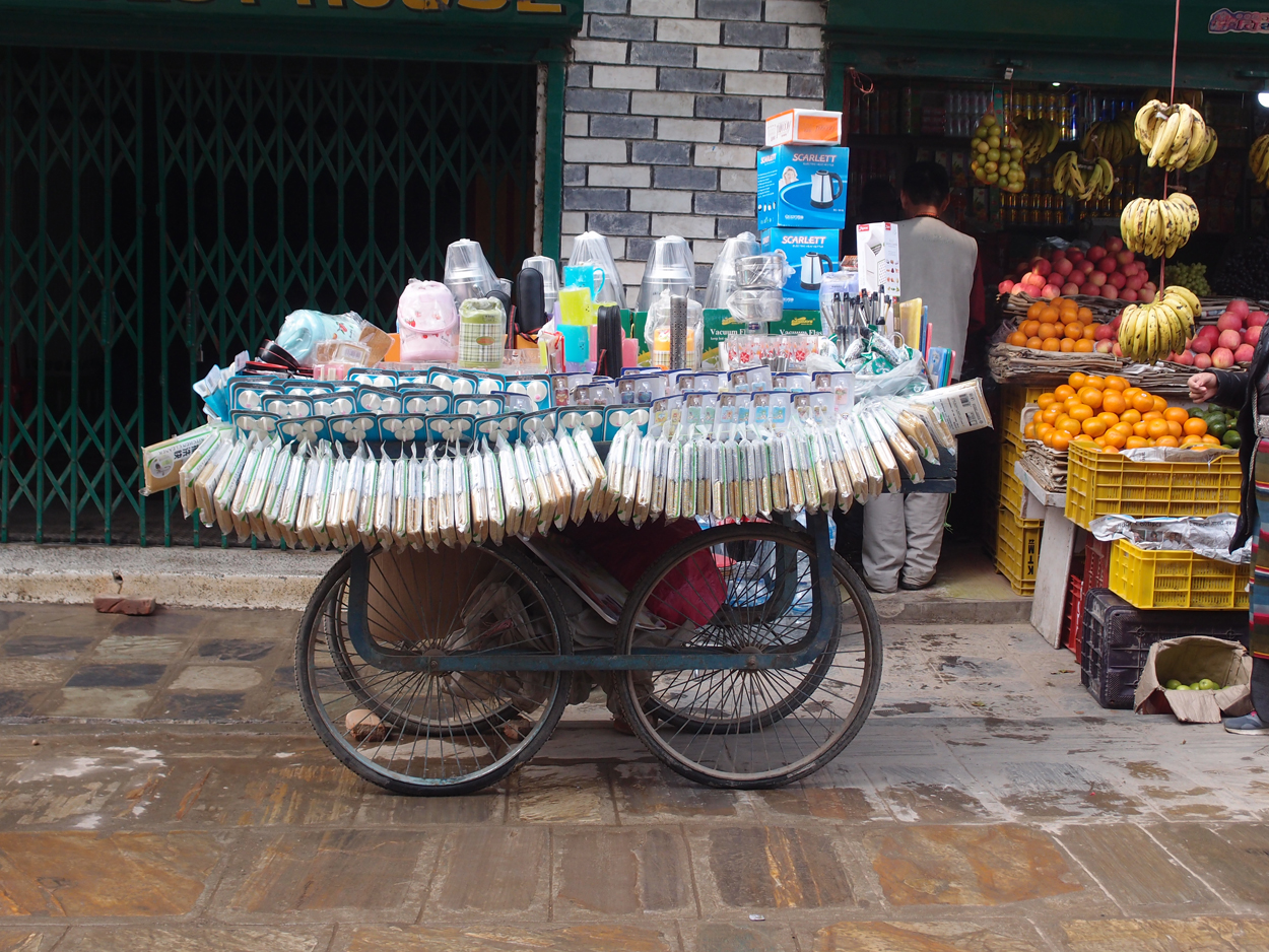 2018-01-14 11 Uhr - Rangjung Yeshe Institute (Foto) 